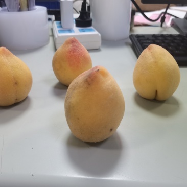 黄桃