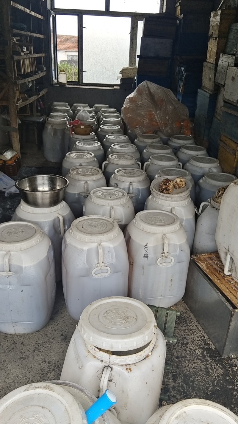 黑龙江椴树蜜和百花蜜不要因为便宜就觉得是假货农民价格就是这