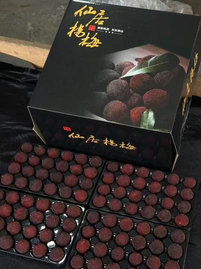 仙居东魁杨梅