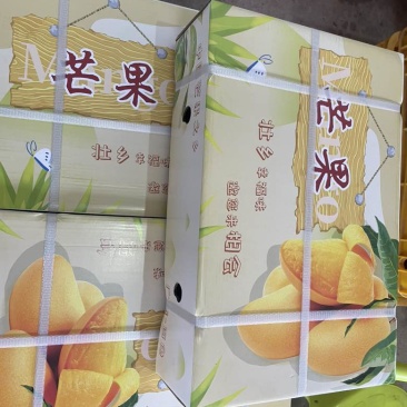 广西百色芒果