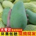 云南仓直发大青芒，有量有价，支持全网电商一件代发！