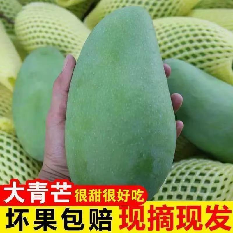 云南仓直发大青芒，有量有价，支持全网电商一件代发！