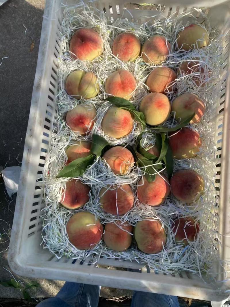 松森水蜜桃，重量三两起上不封顶，4.6元。