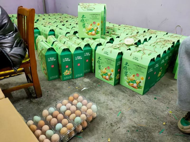 土鸡蛋：138一件45斤净重360枚，各种规格都有，包运费