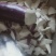 茄子