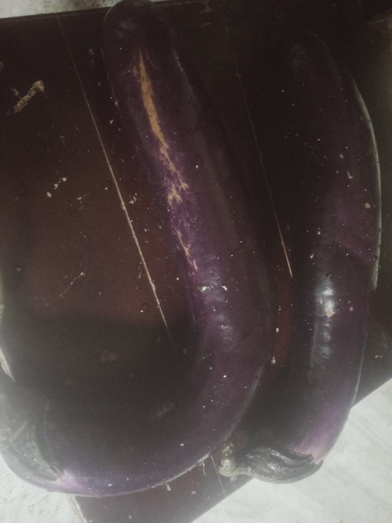 茄子