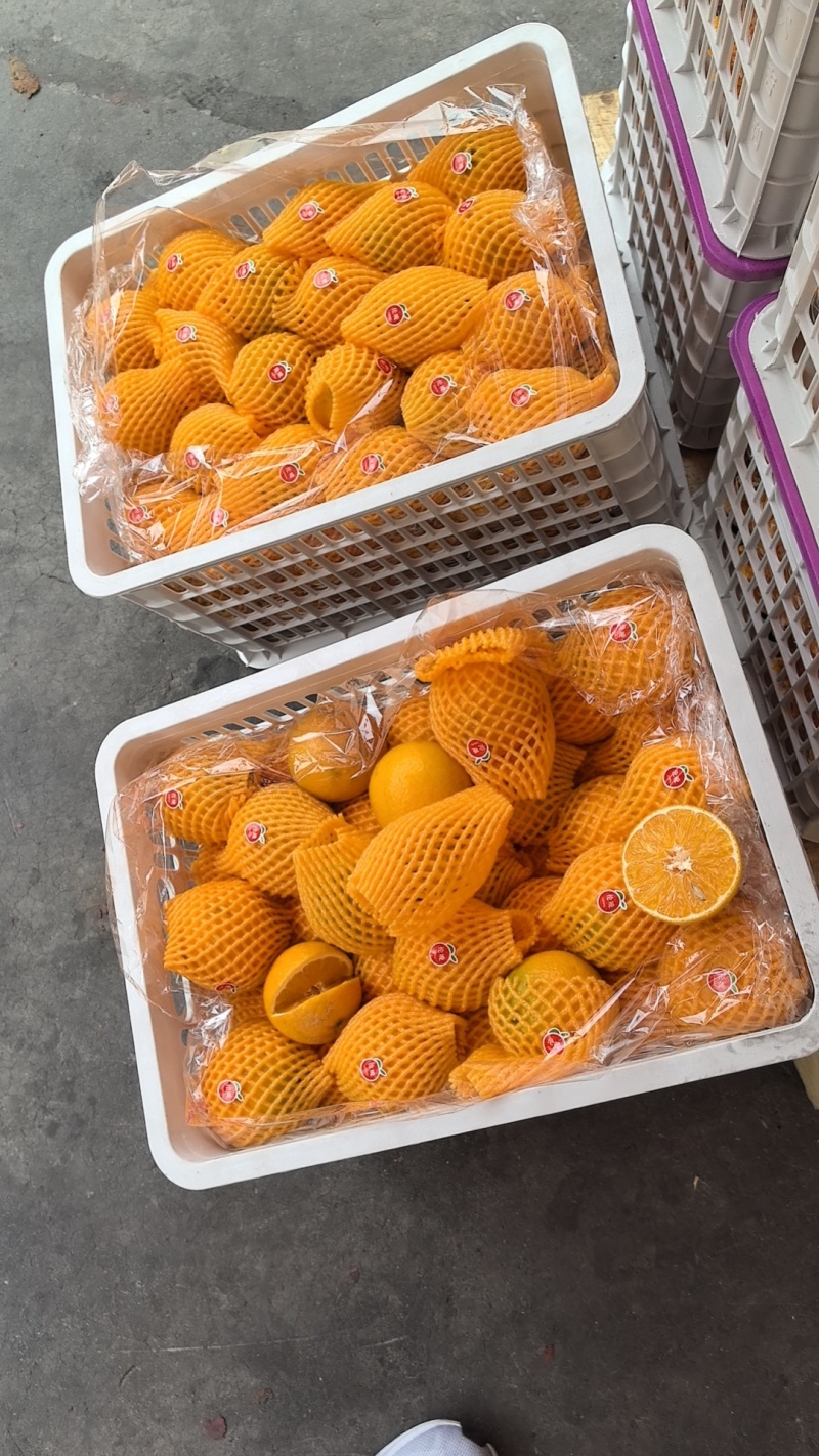 夏橙