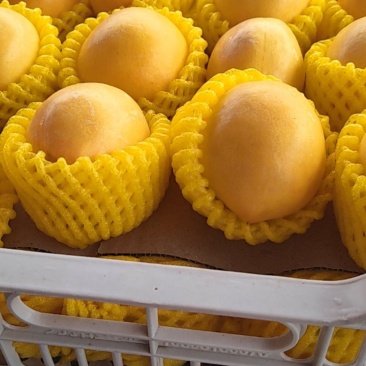 黄油桃