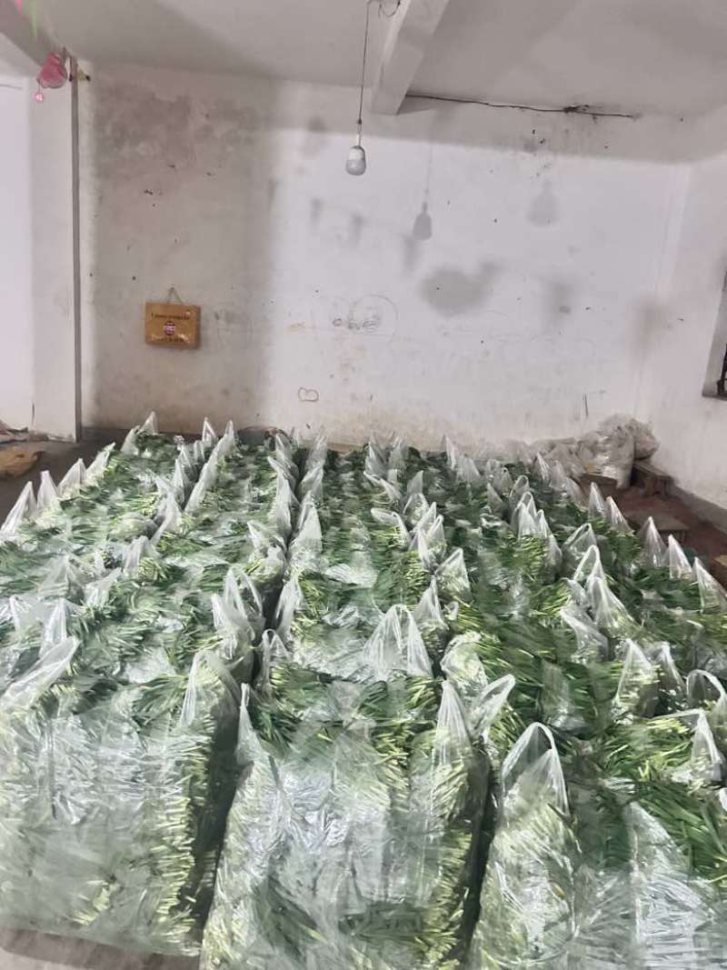 韭菜大中小