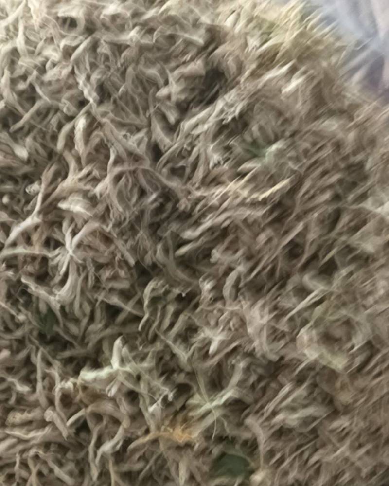 农家金银花