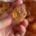 桃胶，云南桃胶厂家直发，货源充足，品质保证，量大从优