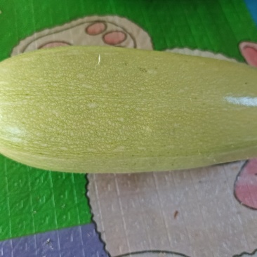 自己家种的角瓜