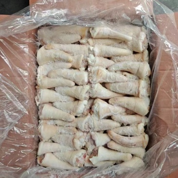 猪尾。长尾短尾都有