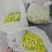 鲜黄花菜，现货，曰产五千斤，可预订