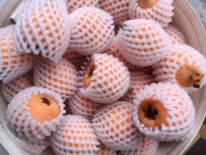 枇杷