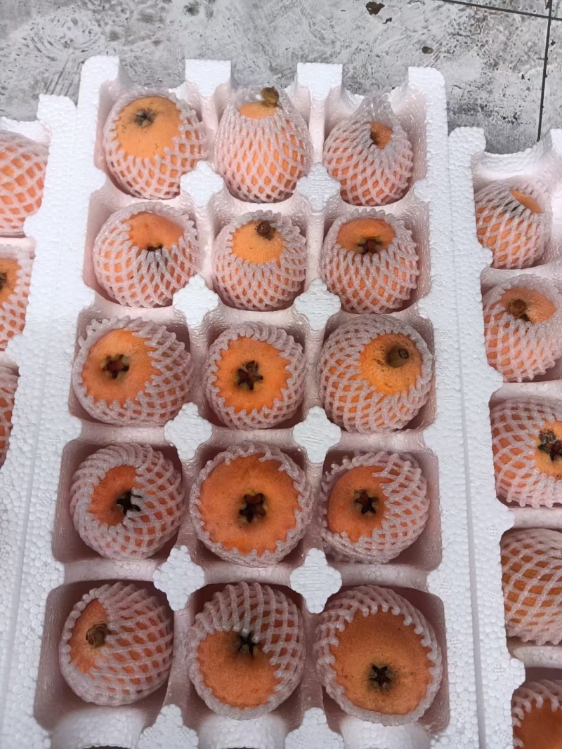 枇杷