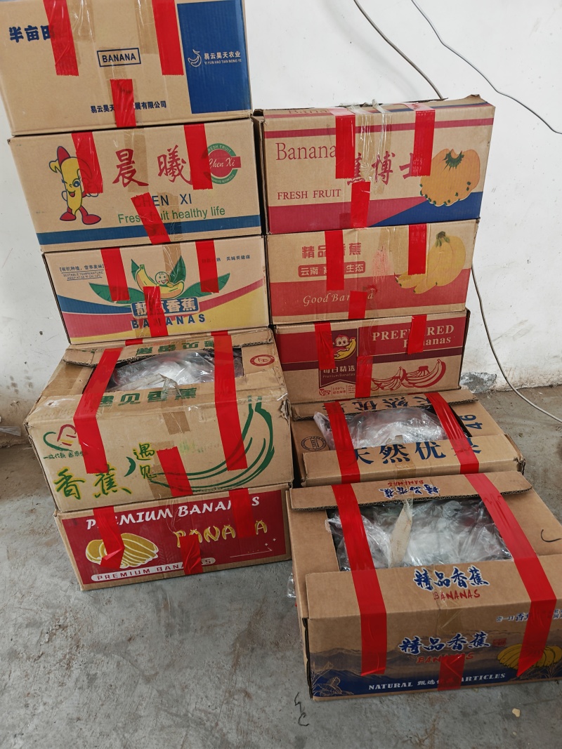 精品套膜油皮丝瓜，肉丝瓜，短丝瓜