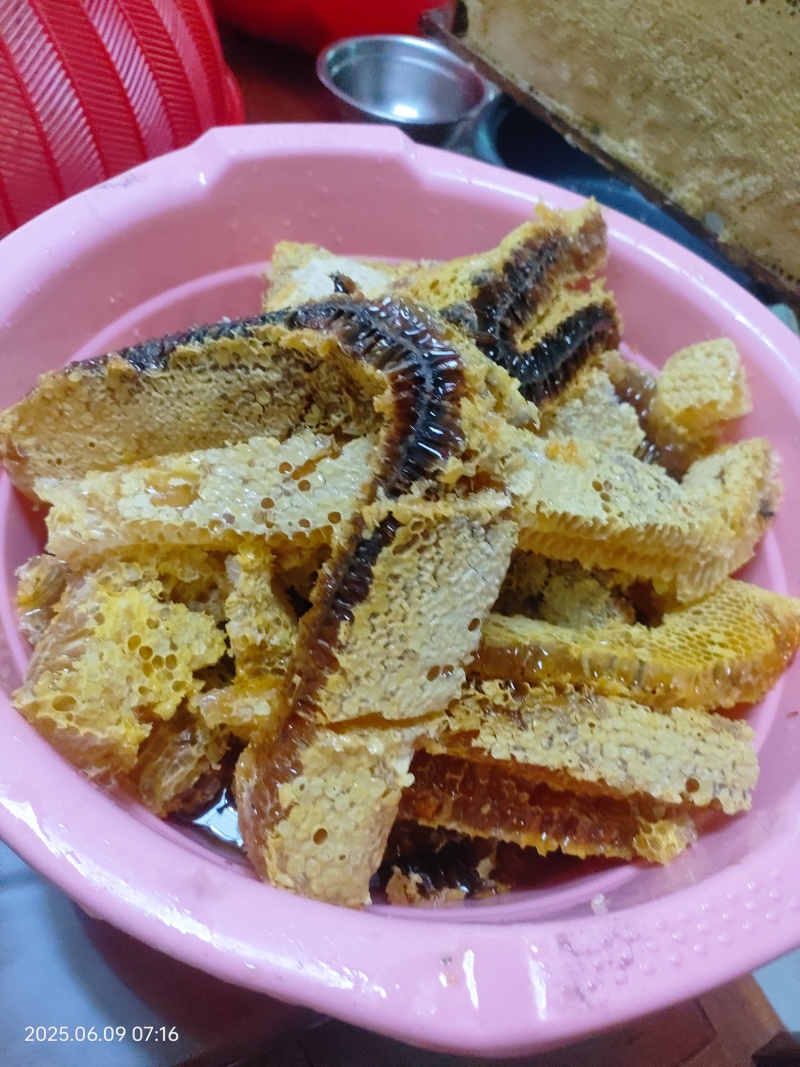 野生的土蜂蜜🍯