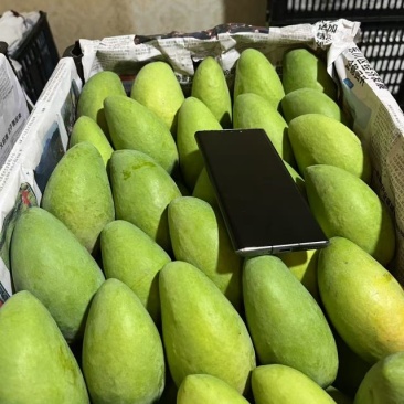 玉溪新平台芒金凤凰