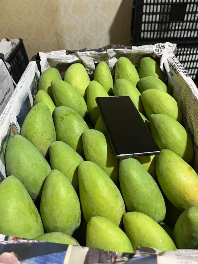 玉溪新平台芒金凤凰