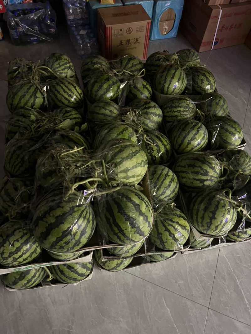 自己家在东西湖种十几亩西瓜