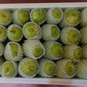 玉女黄瓜