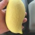 云南鹰嘴芒