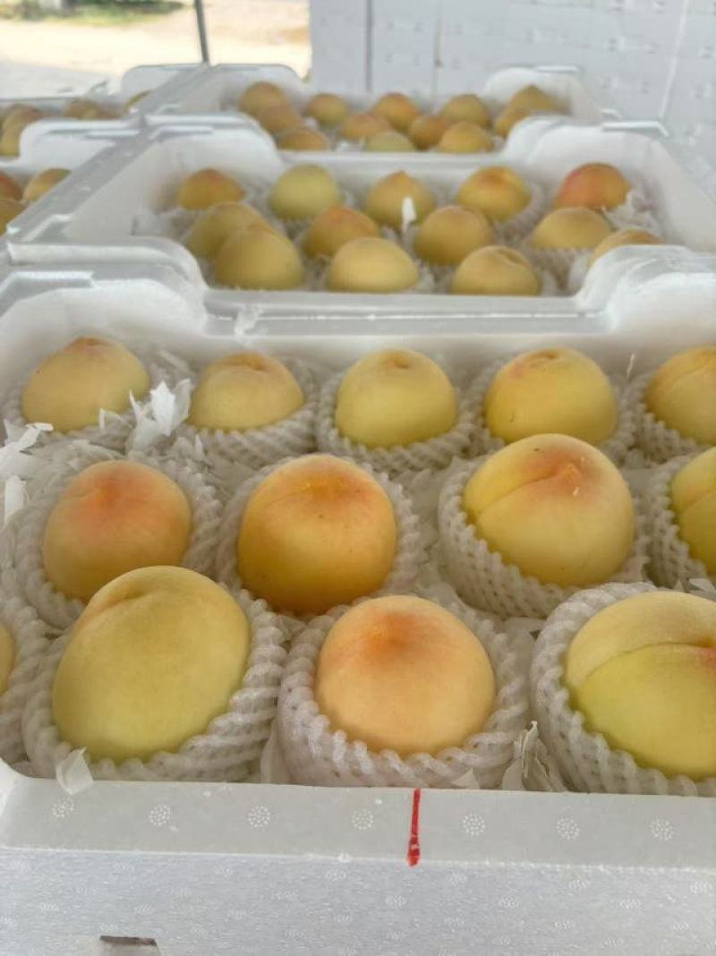 徐州新沂踢球山水蜜桃