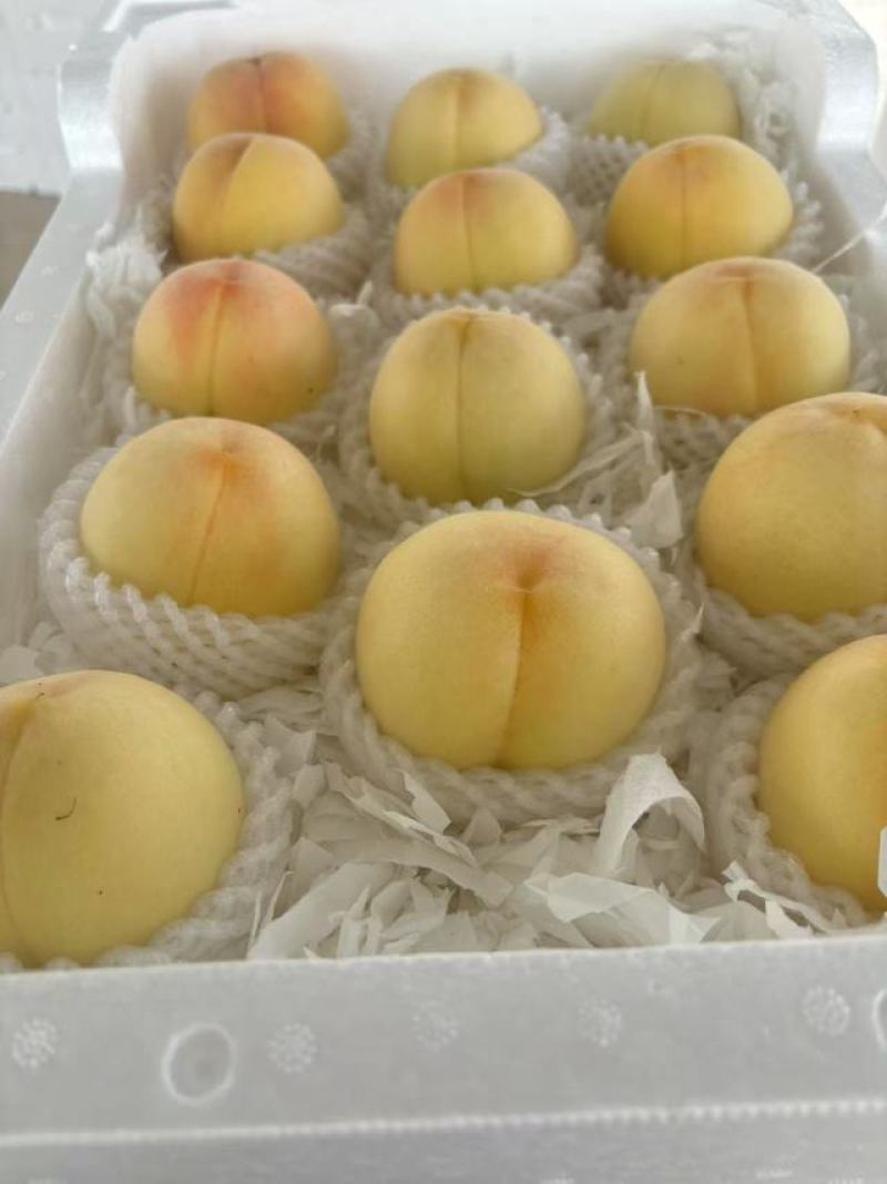 徐州新沂踢球山水蜜桃