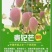 广西百色田阳芒果之乡批发零售一件代发产地直供