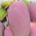云南临沧芒果