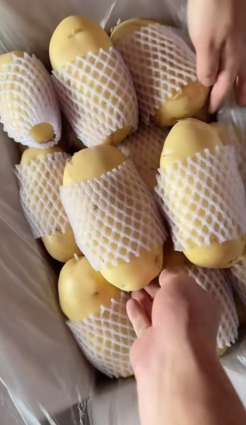 土豆