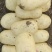土豆