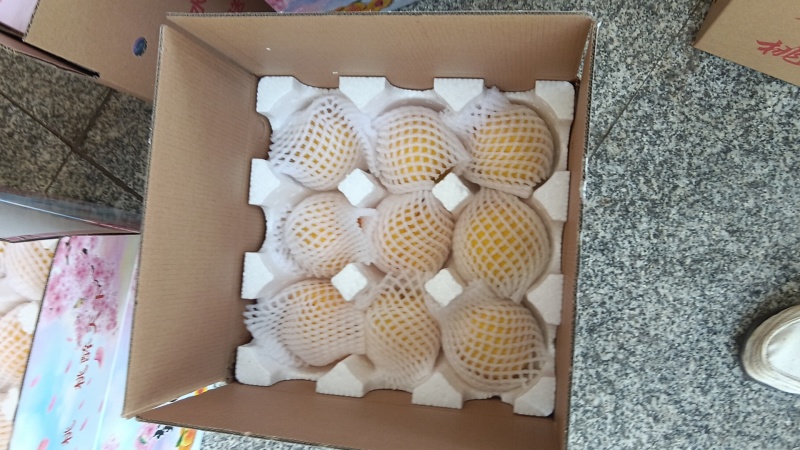 炎陵黄桃