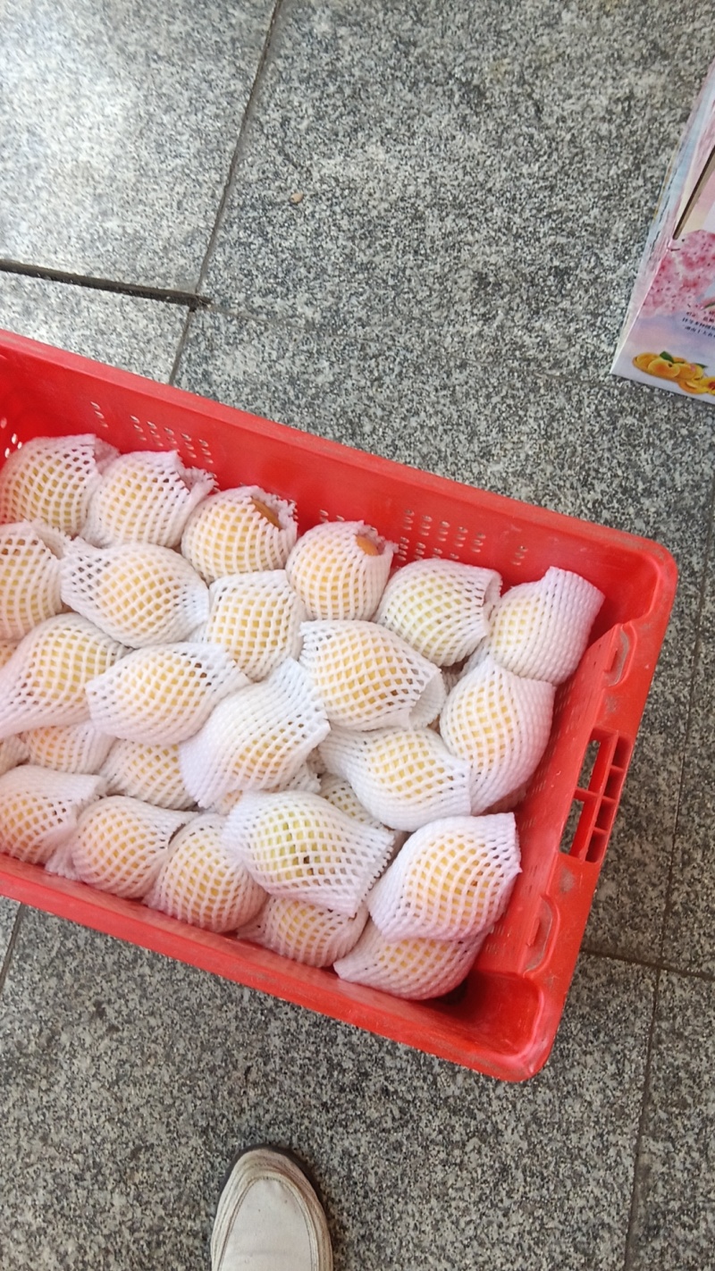 炎陵黄桃
