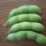 重磅消息推出，毛豆已经上市，无美颜！无滤镜！图片啥样是啥样，