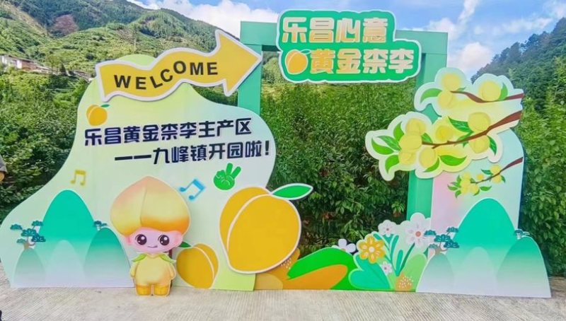 九峰山黄金奈李