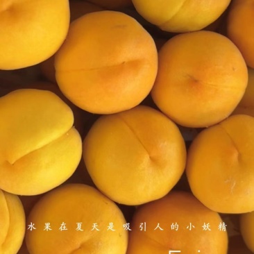 黄桃
