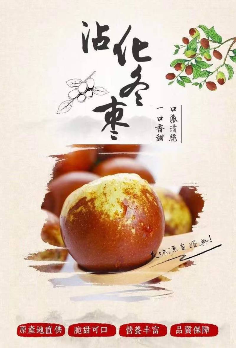 沾化冬枣