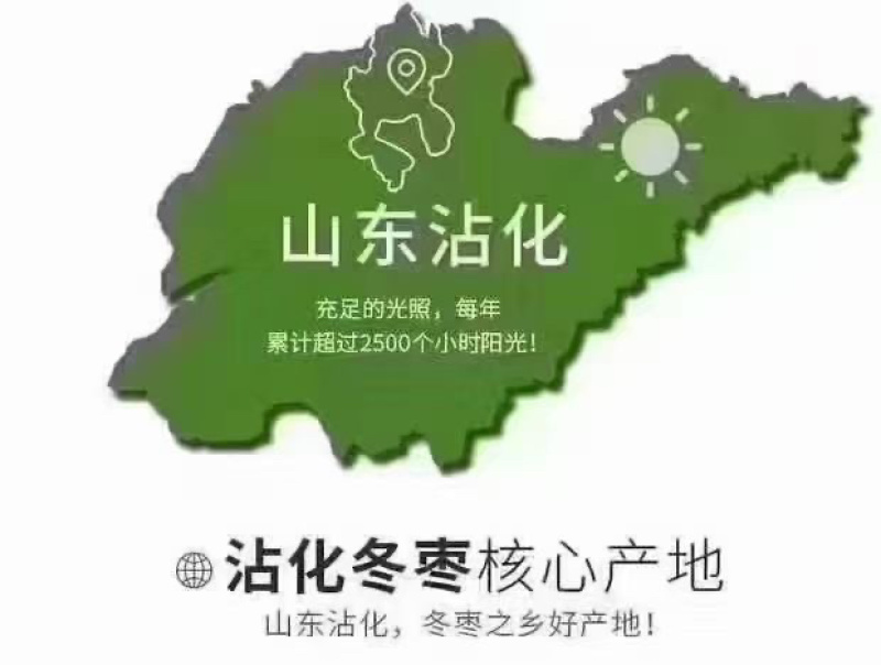 沾化冬枣