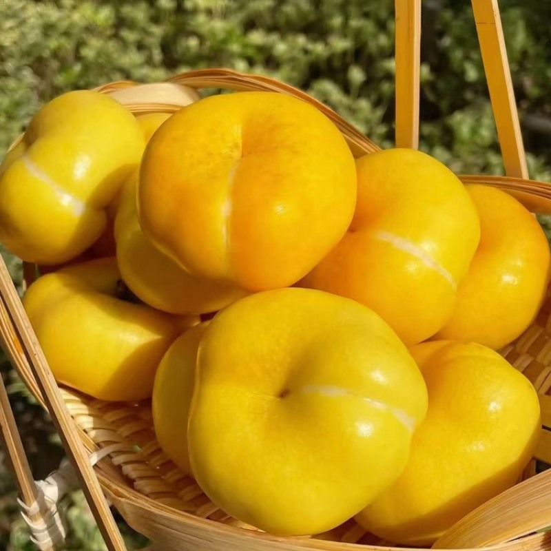 山东蒙阴蜜桃