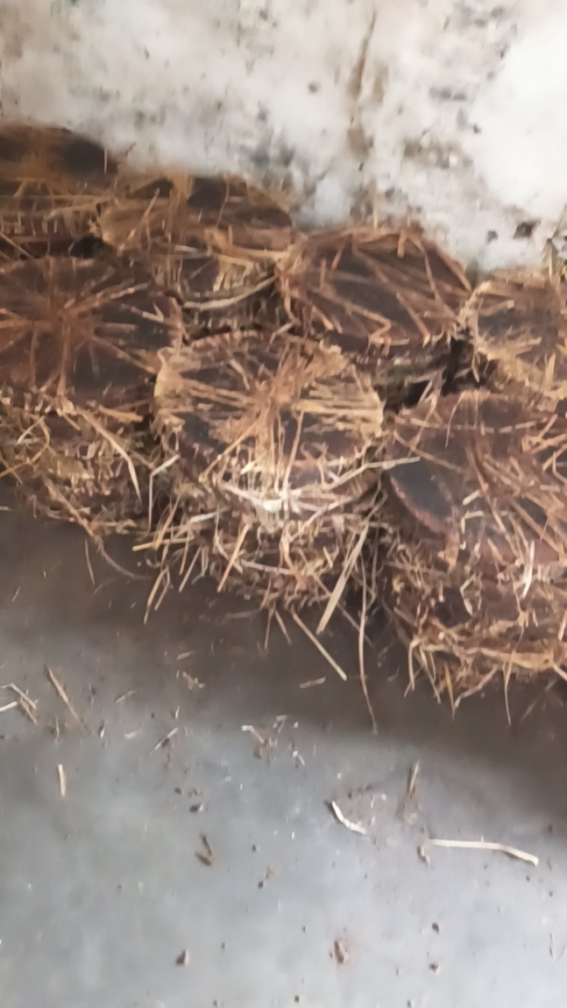 茶粕