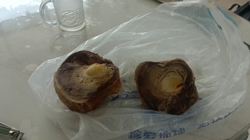 鸡宝