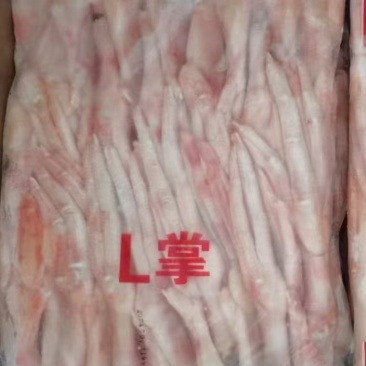 大鸭掌