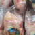 单只套袋青脚麻鸡