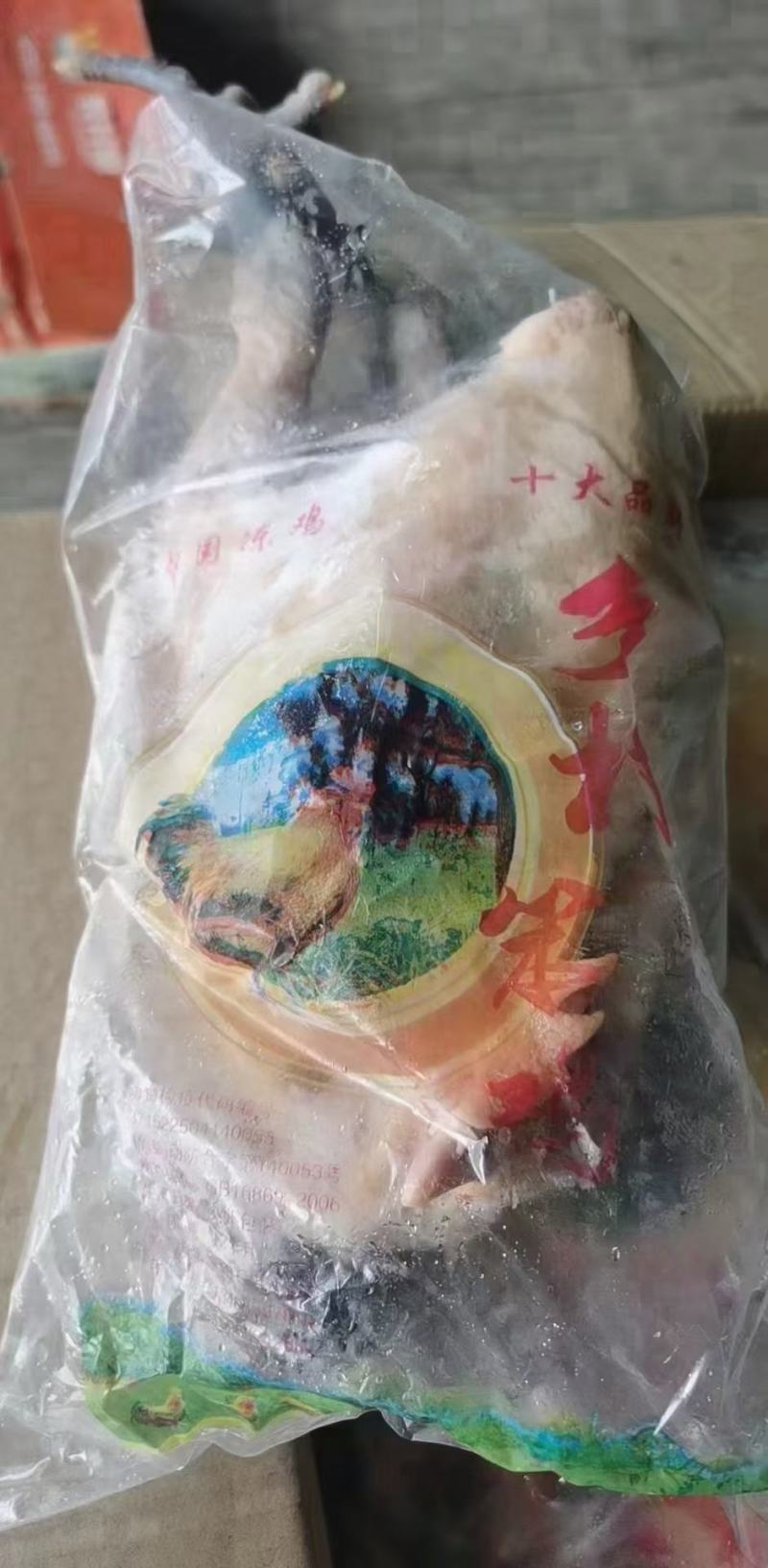 单只套袋青脚麻鸡
