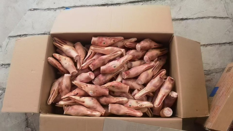 精品烤鸭头