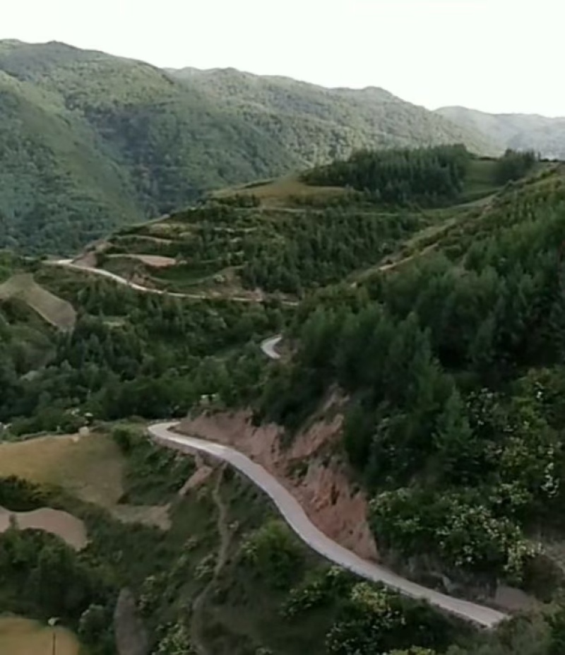 甘肃大山土蜂蜜