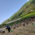 甘肃大山土蜂蜜