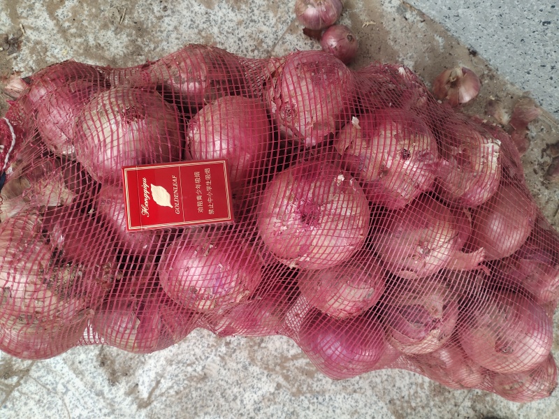 红皮洋葱